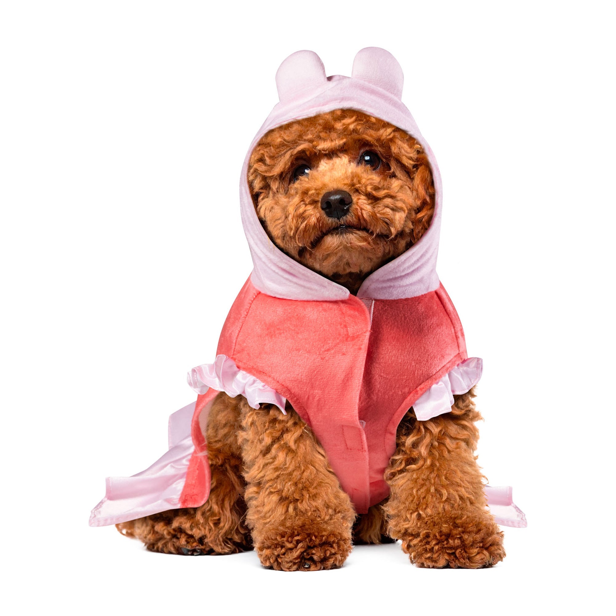 Peppa Pig Pet Costume
